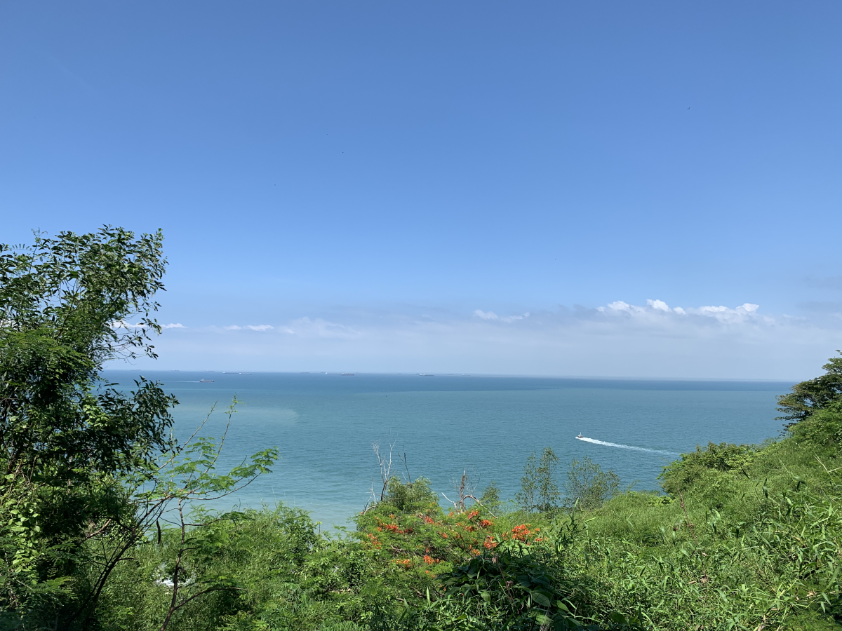 Bài thi Show It NOW 2023
